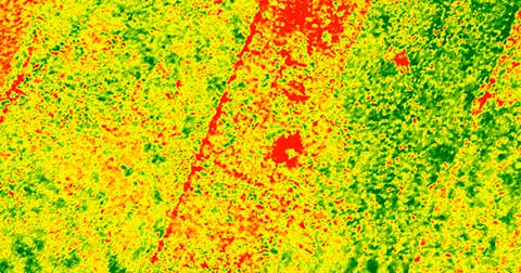 NDVI, SAVI, ARVI, NDWI, EVI,LAI, GNDVI – набор букв или показатели того, заработает ли земледелец осенью?